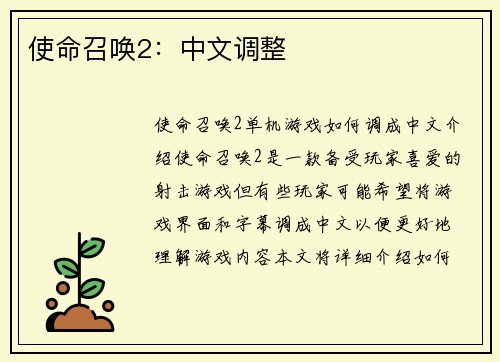 使命召唤2：中文调整